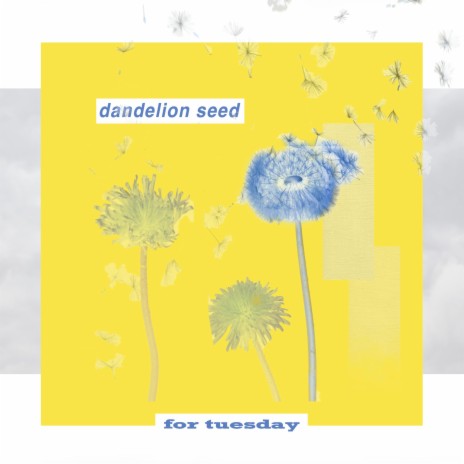 dandelion seed | Boomplay Music