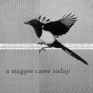 A Magpie Came Today (Single Version) lyrics | Boomplay Music