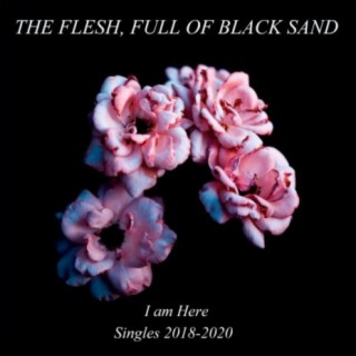The Flesh Full of Black Sand