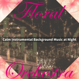 Calm Instrumental Background Music at Night