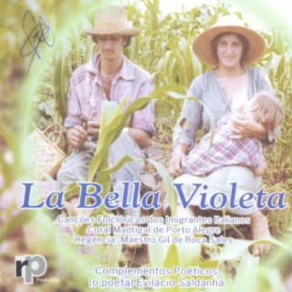 La bella violeta