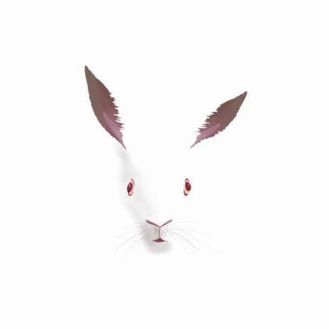 White Rabbit | Boomplay Music
