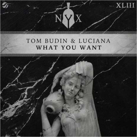 What You Want (Original Mix) ft. Luciana | Boomplay Music
