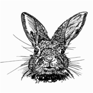 Rabbit (feat. Ca$so)