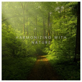 Harmonizing with Nature