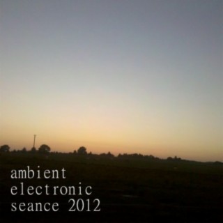 Ambient Electronic Seance 2012