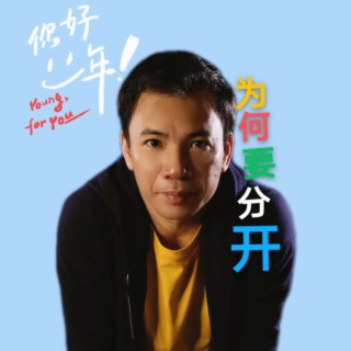 为何要分开（新版本） lyrics | Boomplay Music