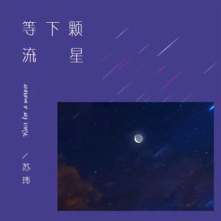 等下颗流星 ft. 音药配方 lyrics | Boomplay Music