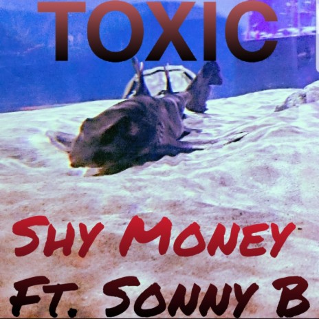 Toxic (feat. Sonny B) | Boomplay Music