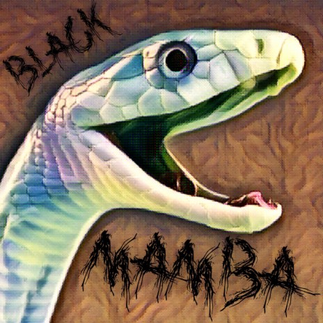 BLACK MAMBA | Boomplay Music
