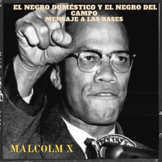 El negro doméstico y el negro del campo discurso de Malcolm X
