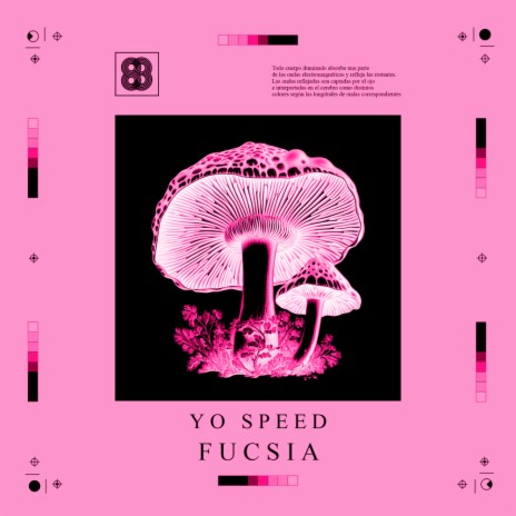 Fucsia (Mushrooms Hit Hard Mix)