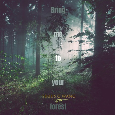 Bring me to your forest | Boomplay Music