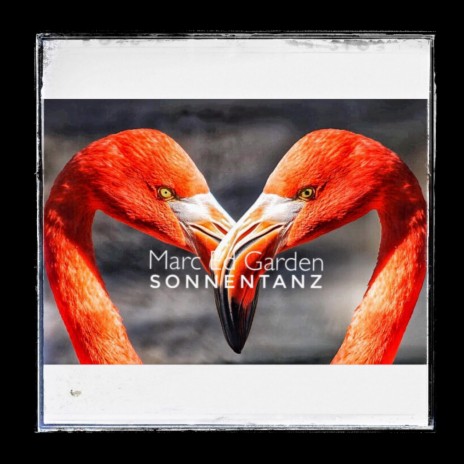 Sonnentanz | Boomplay Music