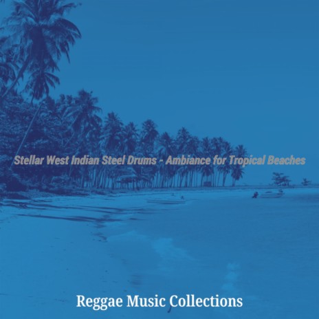 Wondrous West Indian Steel Drum Music - Vibe for Chill Vibes
