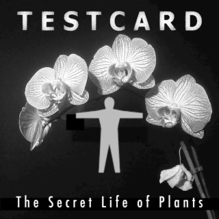 The Secret Life of Plants