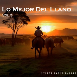 Lo Mejor Del Llano Vol 5