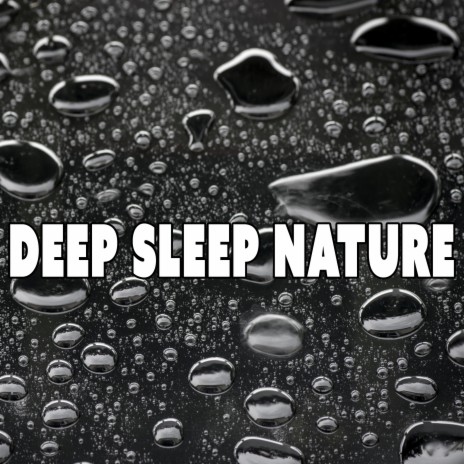 River Rain : Rain For Sleeping | Boomplay Music