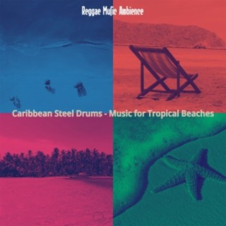 Caribbean Steel Drums - Music for Tropical Beaches