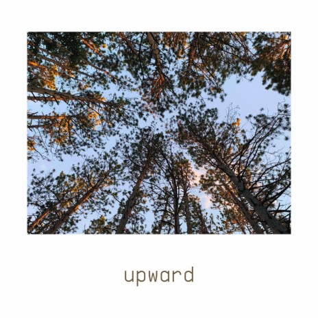 upward | Boomplay Music