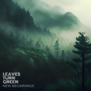 New Beginnings (Radio Edit)