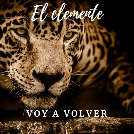 Voy A Volver ft. El Maestro