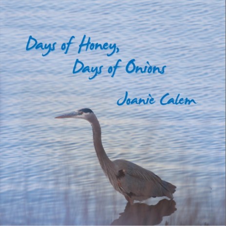 Days of Honey, Days of Onions | Boomplay Music