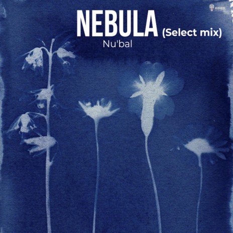 Nebula (select mix) | Boomplay Music