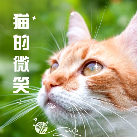 猫的微笑 | Boomplay Music