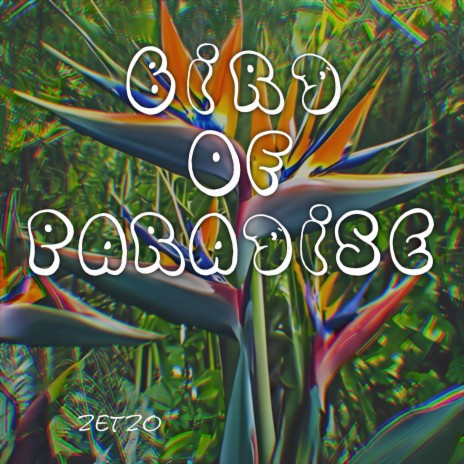 Bird of paradise | Boomplay Music