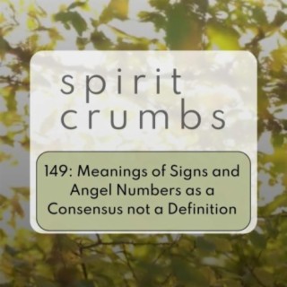 149: Meanings of Signs and Angel Numbers as a Consensus not a Definition