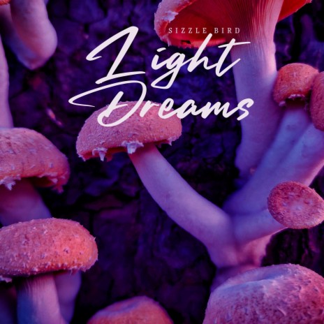 Light Dreams ft. Nordic Home & Little Dumpling | Boomplay Music