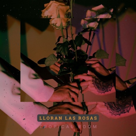Lloran las Rosas ft. Ensamble Latino | Boomplay Music