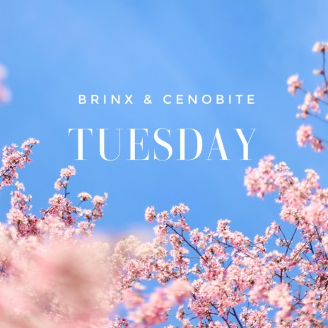 TUESDAY ft. CENOBITE | Boomplay Music