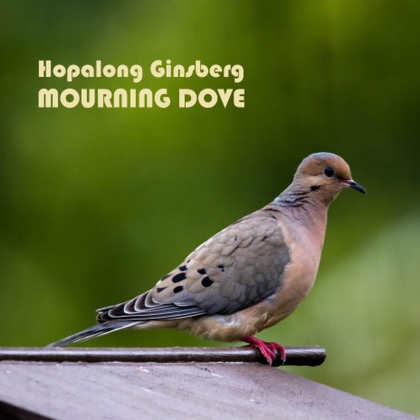 Mourning Dove | Boomplay Music