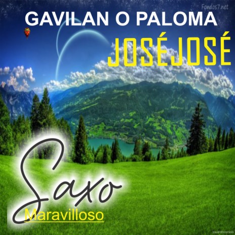 Gavilán o Paloma | Boomplay Music