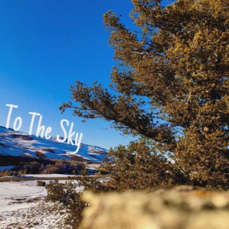 To The Sky | Boomplay Music