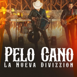 Pelo Cano