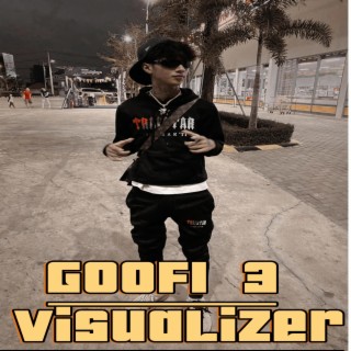 Goofi-3 Visuolizer