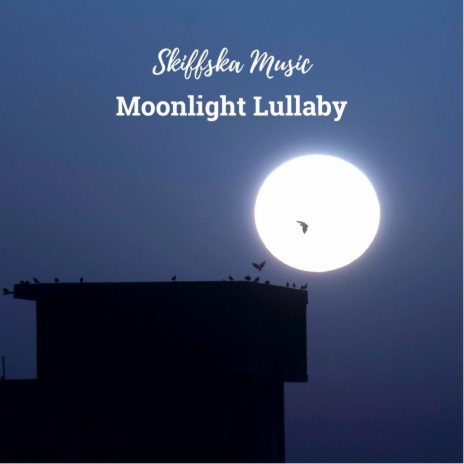 Moonlight Lullaby | Boomplay Music