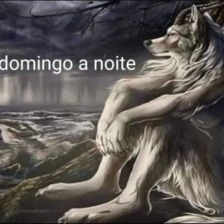 Domingo a Noite