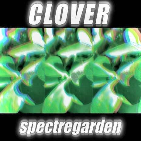 clover