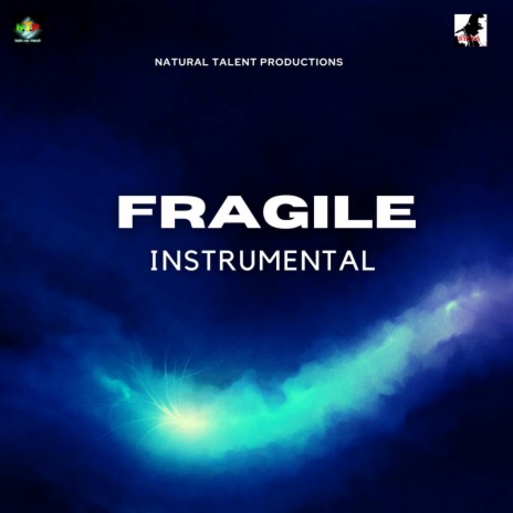 FRAGILE INSTRUMENTAL (SYCKA)