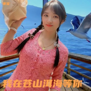 我在苍山洱海等你 lyrics | Boomplay Music