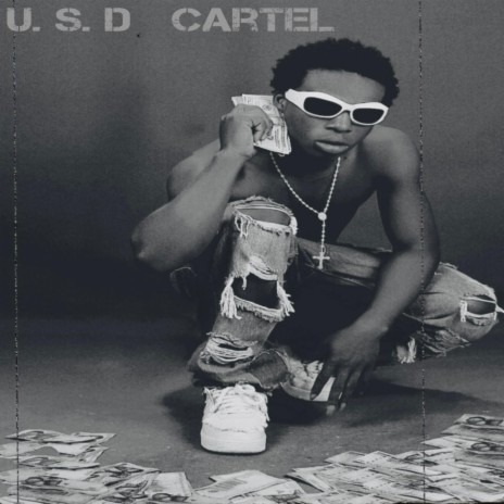 U. S. D Cartel | Boomplay Music