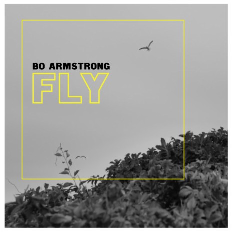 Fly | Boomplay Music