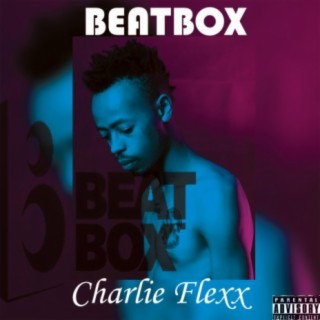 Beat Box Freestyle