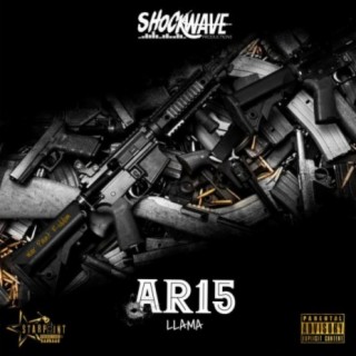AR15 (feat. Llama)