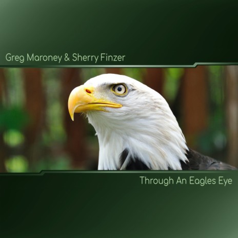 Through an Eagles Eye ft. Sherry Finzer