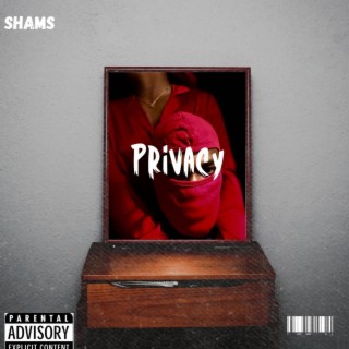 Privacy lyrics | Boomplay Music